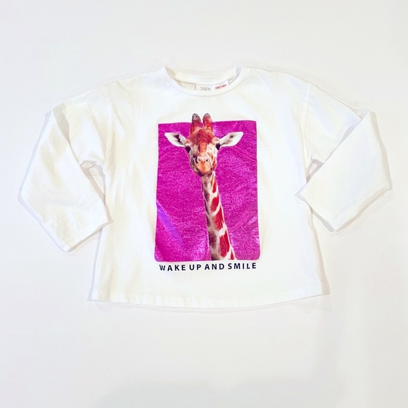 Zara Other - Zara 4-5T long sleeve foil top